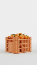 Mandarin Oranges Soft Orange Crate