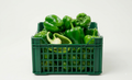 Capsicum mirchi (10kg)