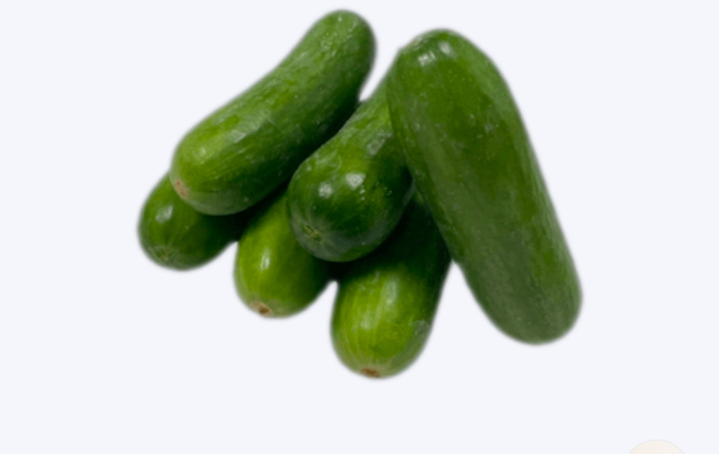 Kheera ( 15kg)