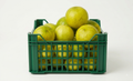 Lemon 5pc