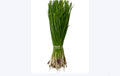 Spring onion [10kg ]