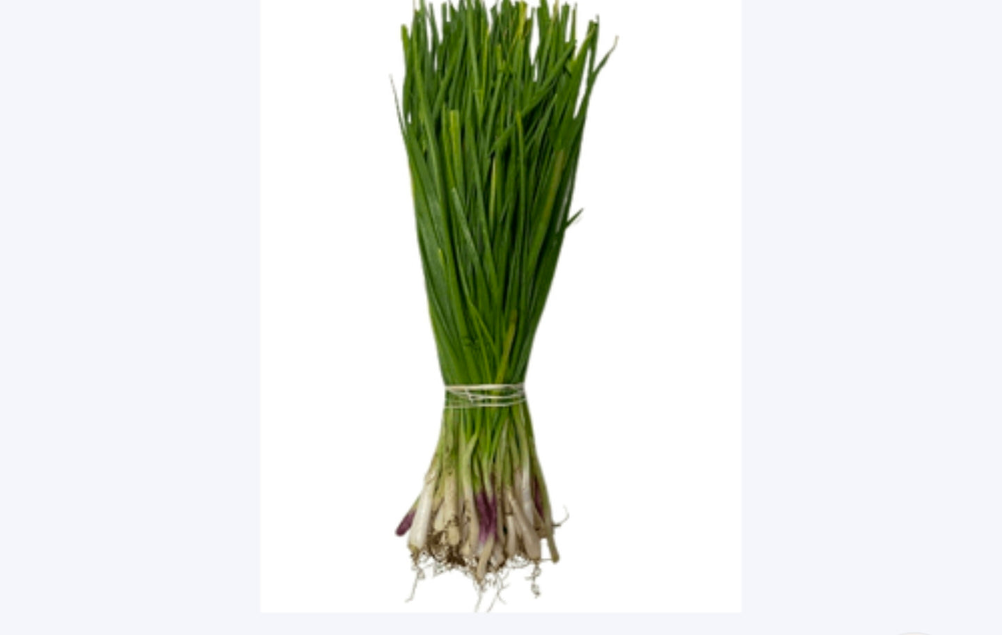 Spring onion [10kg ]